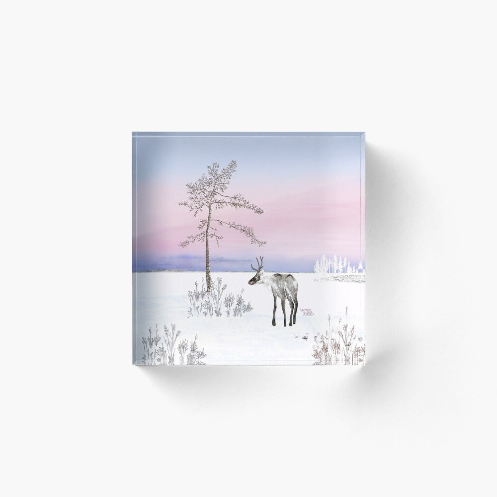 Pink Frosty morning in Lapland