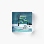 Northern Lights Pitch in Lapland