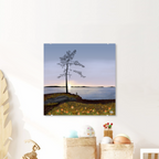 Oogstseizoen in Lapland