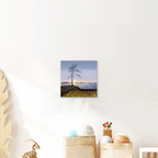 Oogstseizoen in Lapland