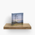 Oogstseizoen in Lapland