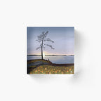 Oogstseizoen in Lapland