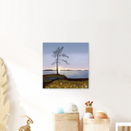 Oogstseizoen in Lapland