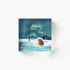 Arctic Campfire under the Northern Lights