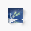 Subzero winter
