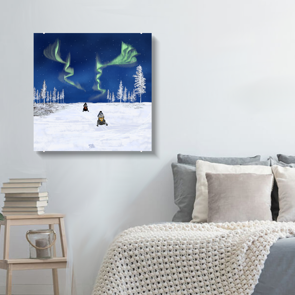 Sneeuwscooter – Noorderlicht