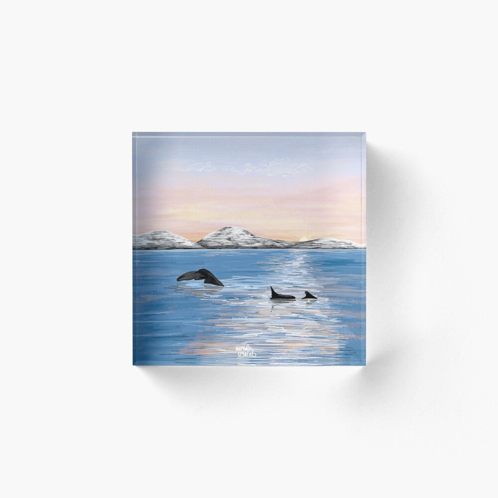 Whale Safari - Arctic Twilight