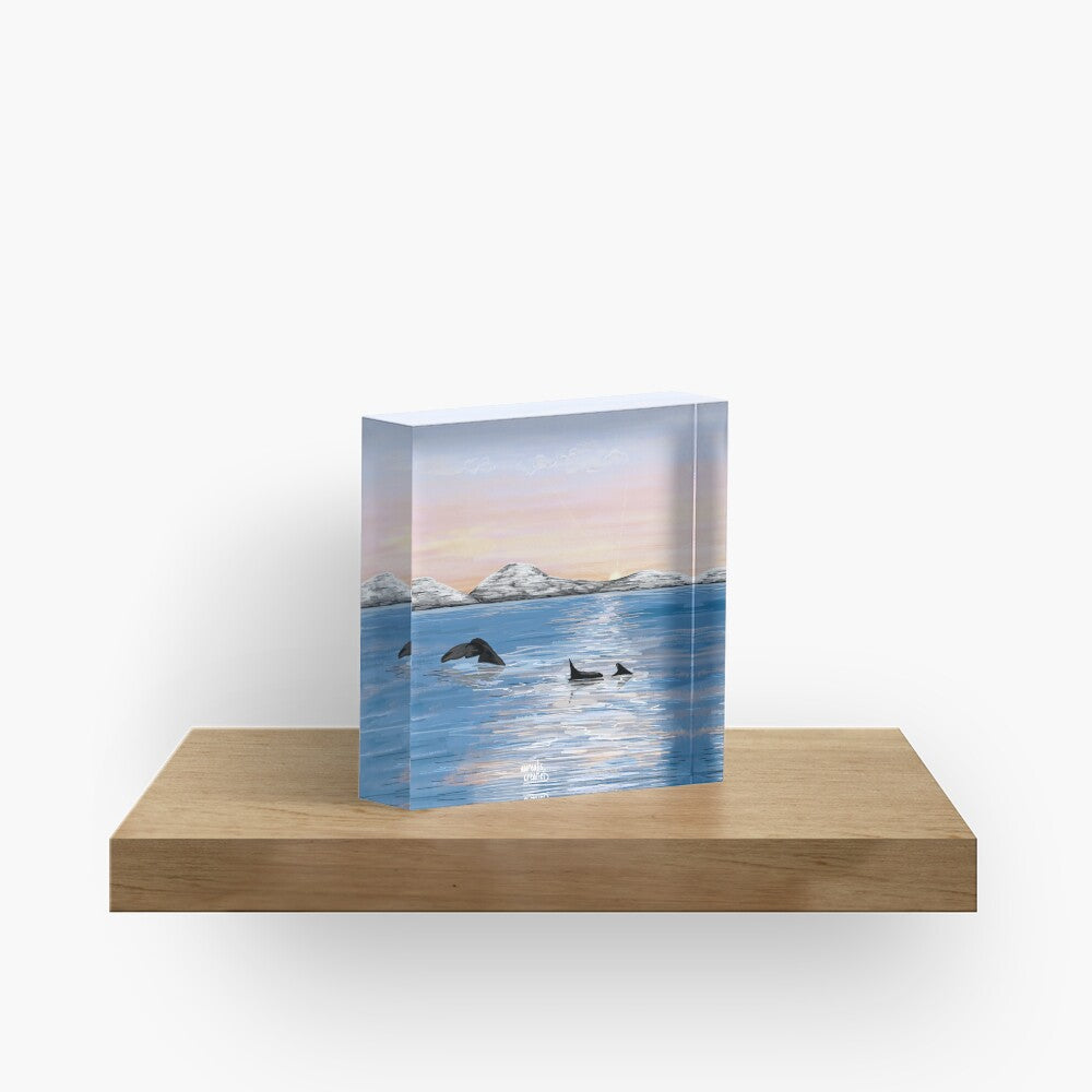 Whale Safari - Arctic Twilight