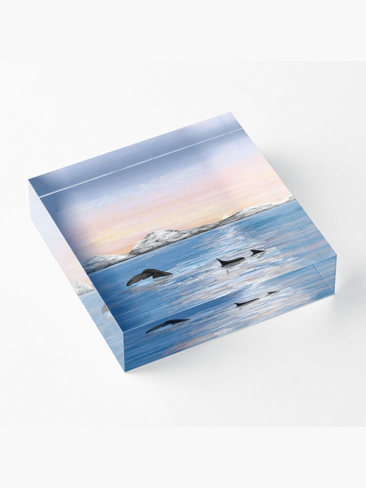 Whale Safari - Arctic Twilight