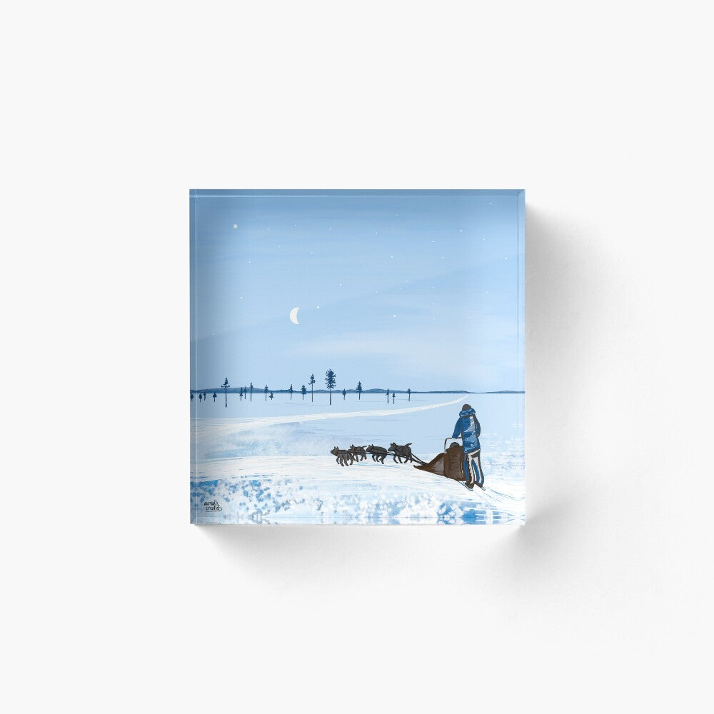 Husky Adventure – Blue Moment