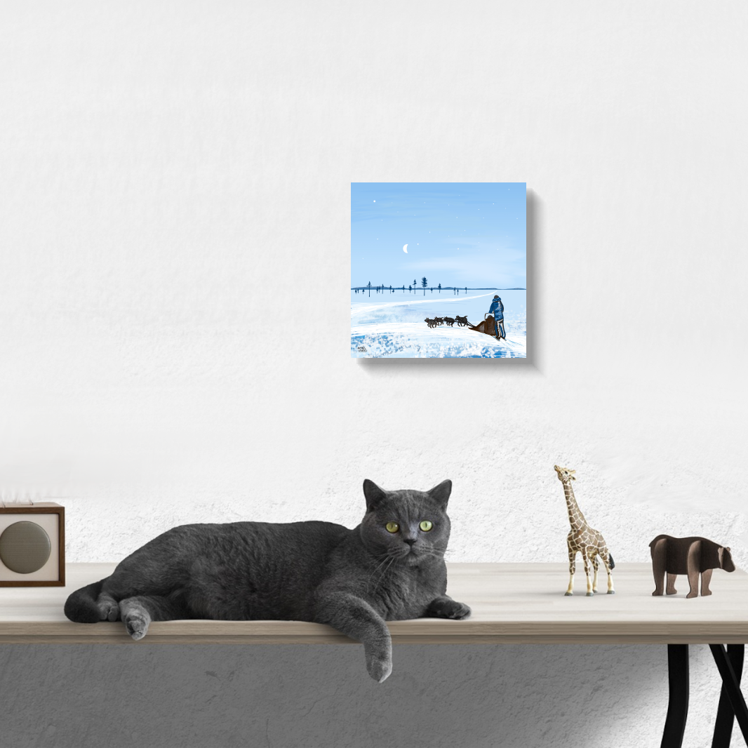 Husky Adventure – Blue Moment