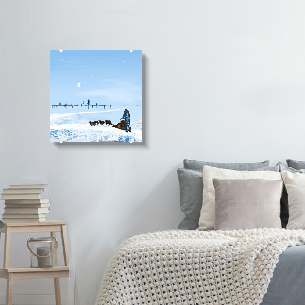 Husky Adventure – Blue Moment