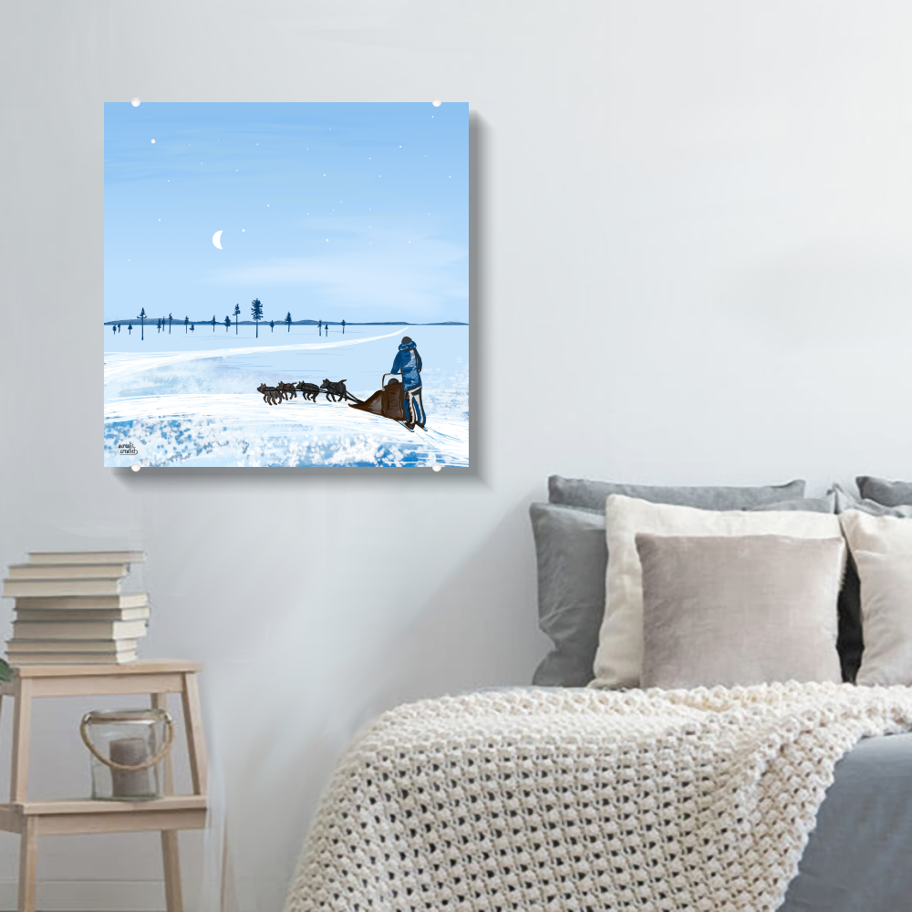 Husky Adventure – Blue Moment