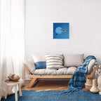 A scuba diver and a humpback whale