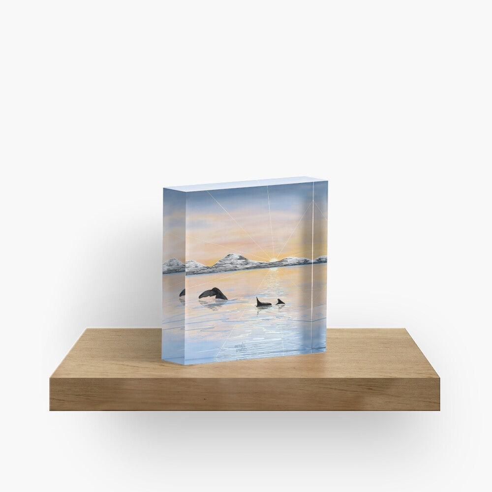 Whale Safari - Calm Spring