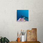 Liefde voor het diepzeeduiken