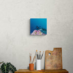 Liefde voor het diepzeeduiken