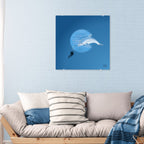 Duiken met een dolfijn