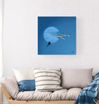 Shark in a deep blue sea.