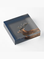 Red deer