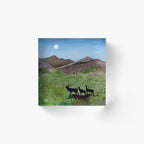 Spring Awakening in the Scottish Highlands