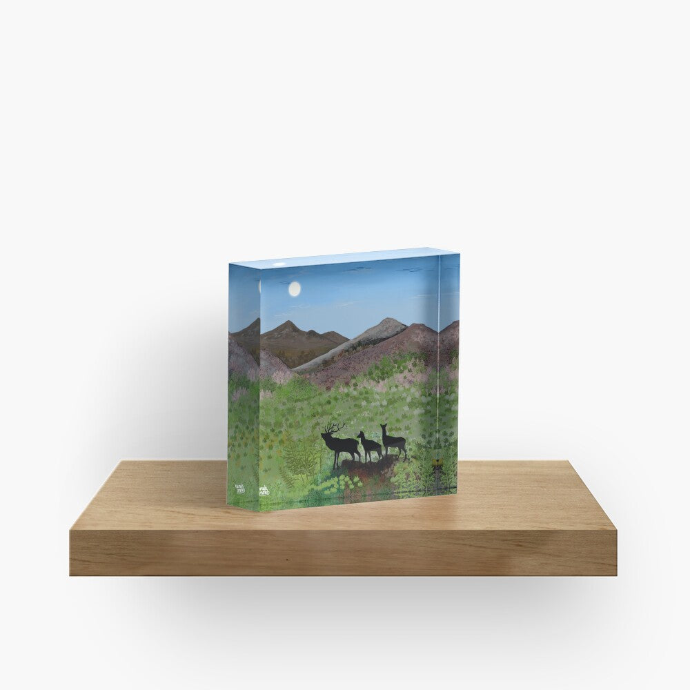 Spring Awakening in the Scottish Highlands