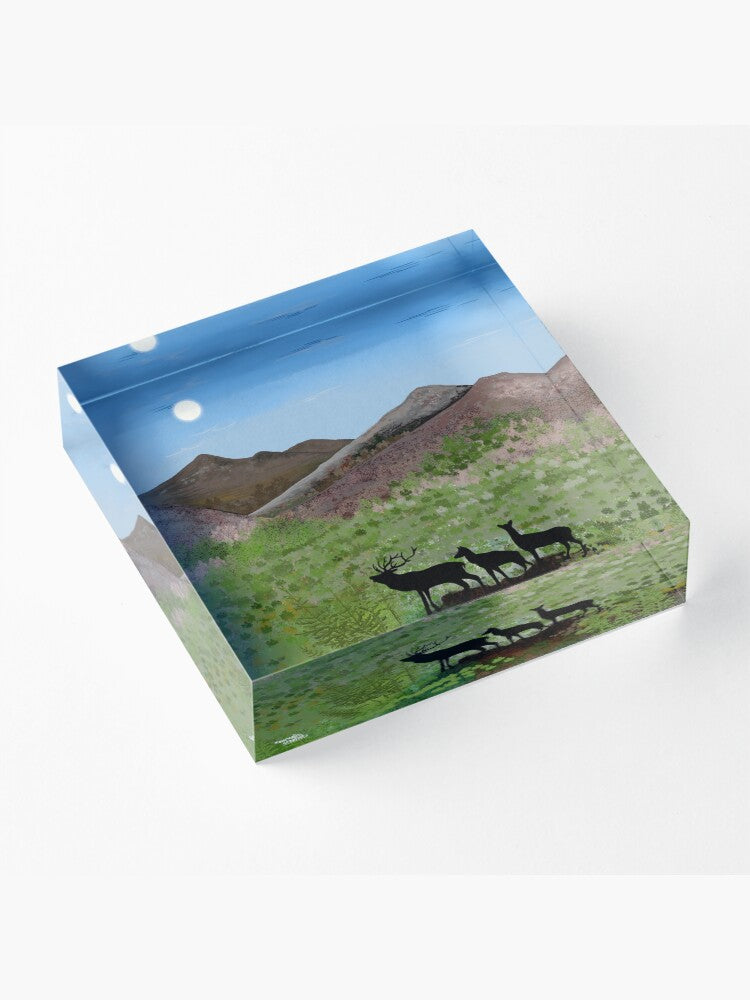 Spring Awakening in the Scottish Highlands