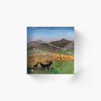 Autumn in the Highlands