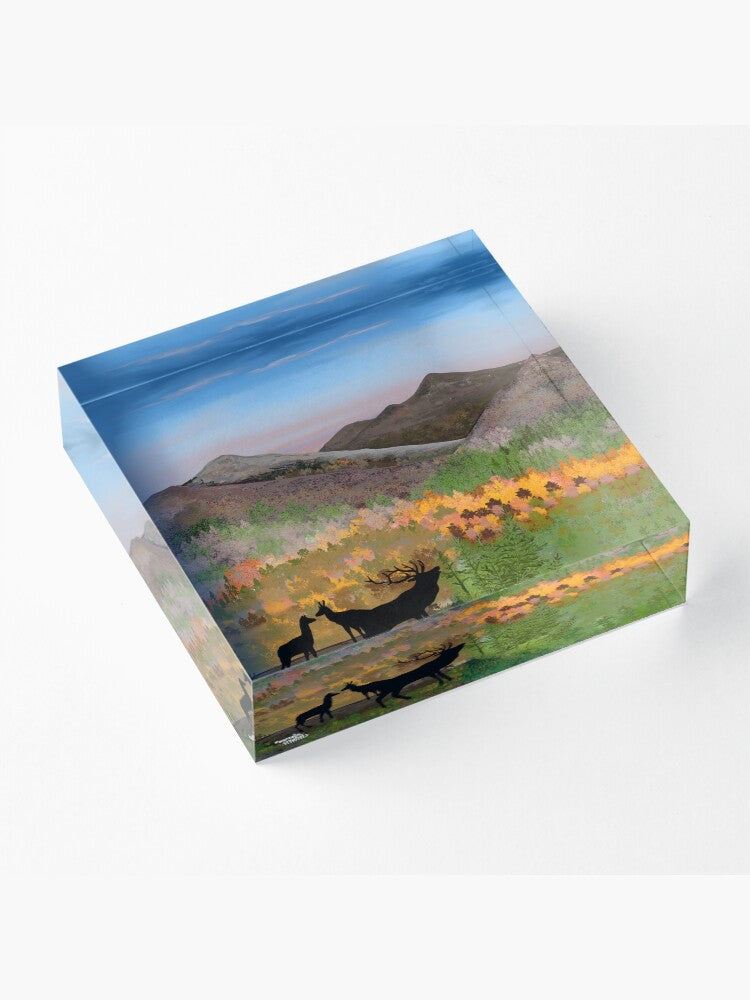 Autumn in the Highlands