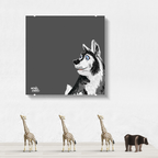 Husky hondje