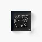 A cheerful floppy-eared dog