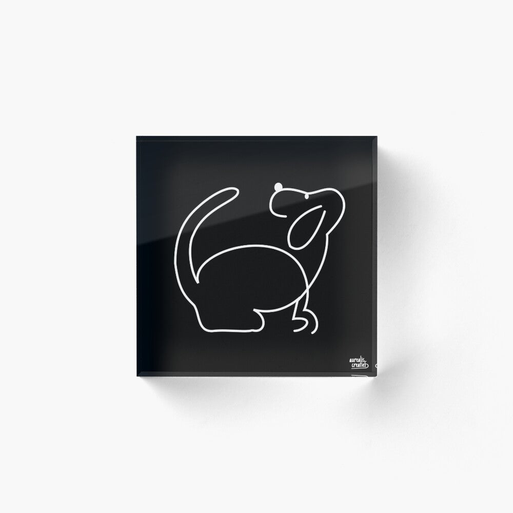 A cheerful floppy-eared dog