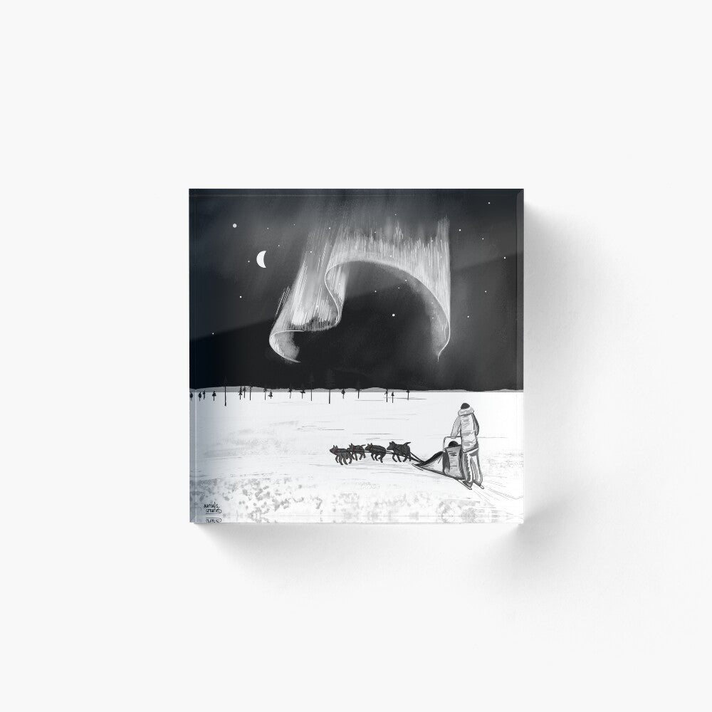 Husky Winter adventure