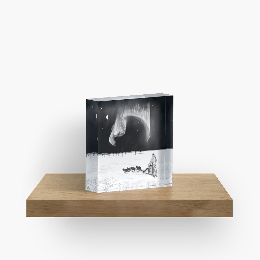 Husky Winter adventure