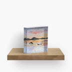 Whale Safari - Midnightsun