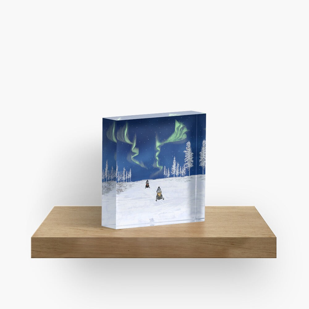 Sneeuwscooter – Noorderlicht