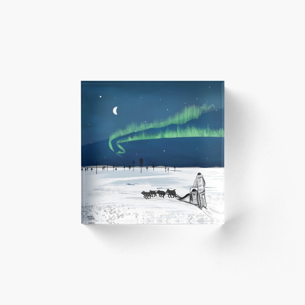 Husky Adventure – Northern Lights