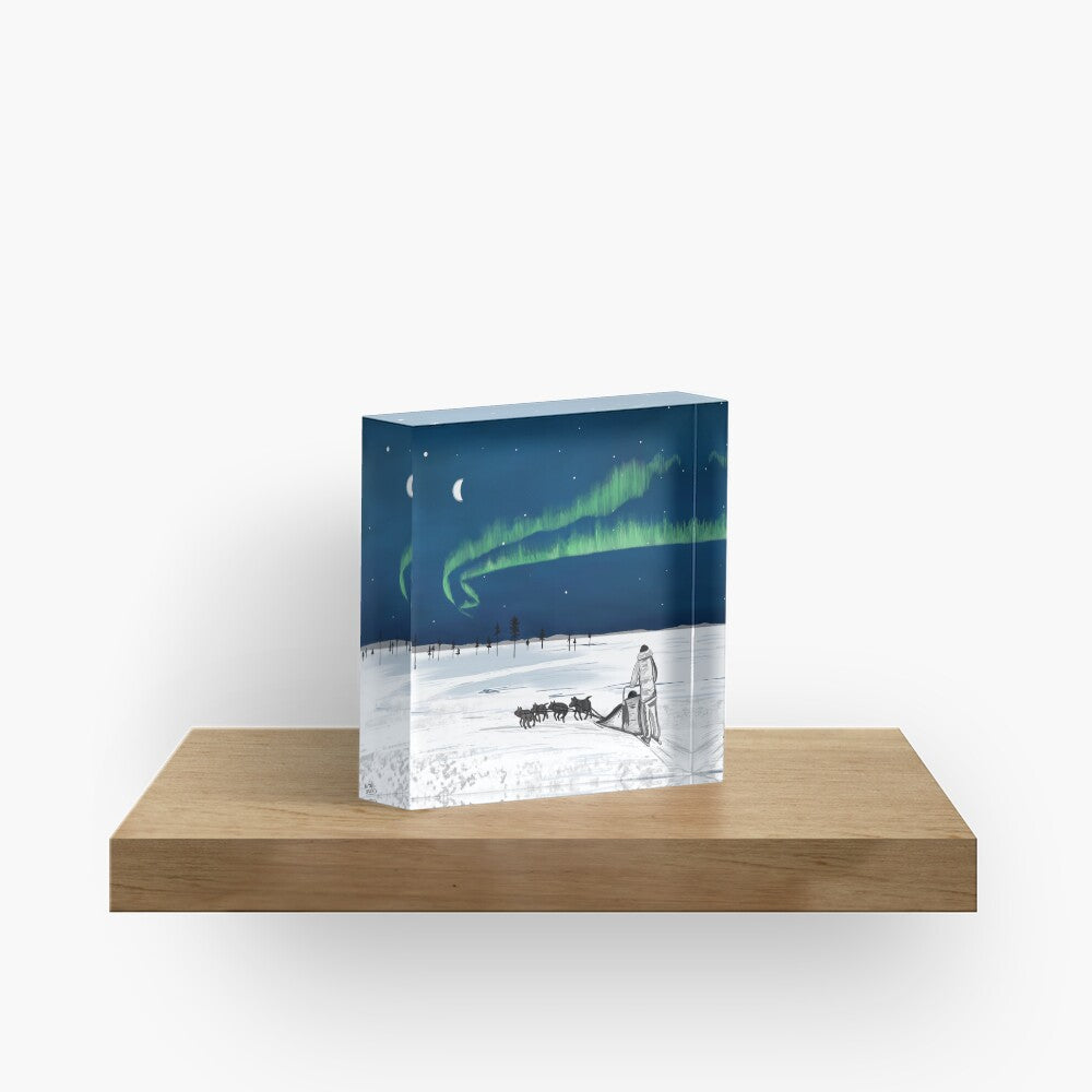 Husky Adventure – Northern Lights