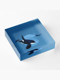 Orka