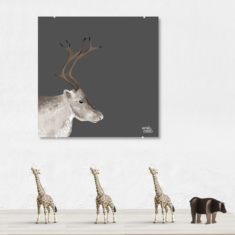 Sámi Reindeer antlers