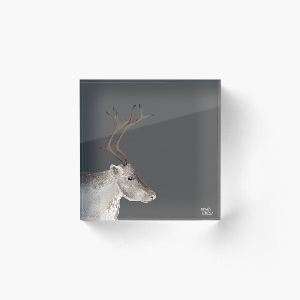 Sámi Reindeer antlers