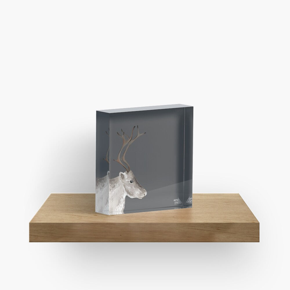 Sámi Reindeer antlers