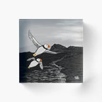 Puffins on the Wind