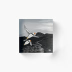 Puffins on the Wind