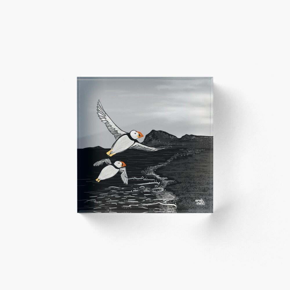Puffins on the Wind