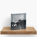 Puffins on the Wind