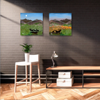 Autumn in the Highlands