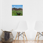 Spring Awakening in the Scottish Highlands