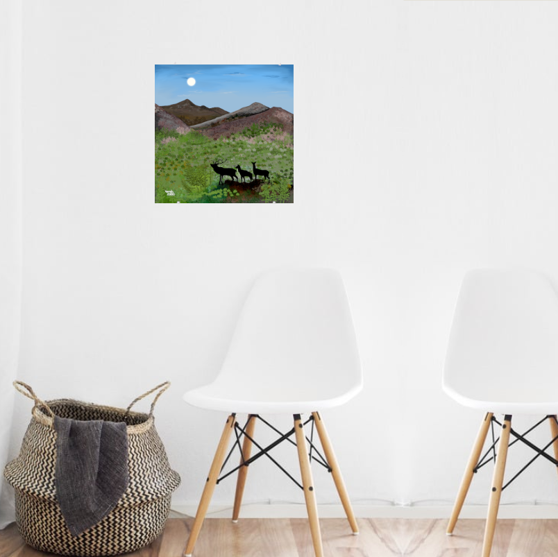 Spring Awakening in the Scottish Highlands