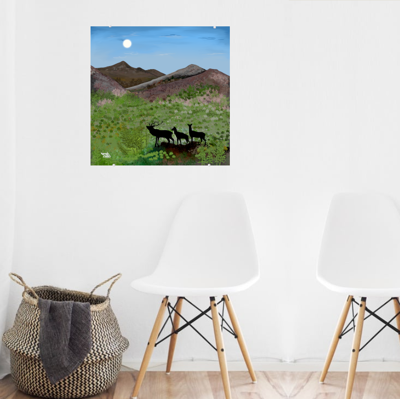 Spring Awakening in the Scottish Highlands